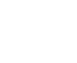 TIMELINE REPORTER